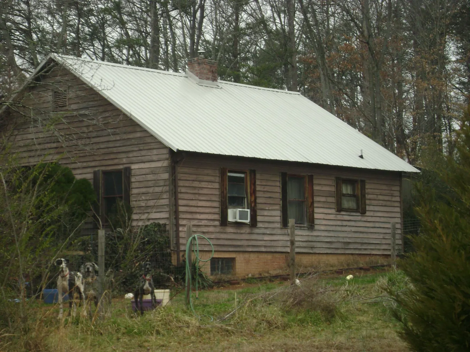 White metal roof on an old wood sided farmhouse, from a Asphalt Shingle Roof Repair job in Pecatonica